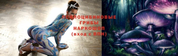 ПСИЛОЦИБИНОВЫЕ ГРИБЫ Володарск