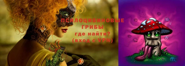 соль ск Вязьма