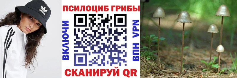 Псилоцибиновые грибы мицелий  даркнет сайт  Ивангород 